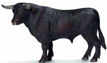 SHL13722 - Taureau noir