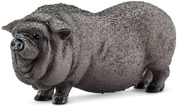 SHL13747 - Cochon du Vietnam