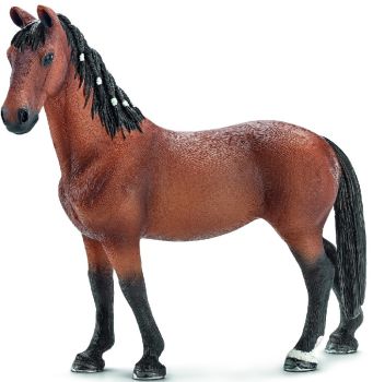 SHL13757 - Jument Trakehnen