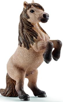 SHL13775 - Mini hongre poney Shetland