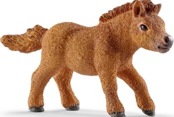 SHL13777 - Mini poulain poney Shetland