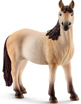 SHL13806 - Jument mustang