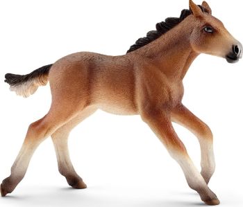 SHL13807 - Poulain mustang