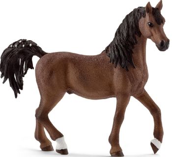 SHL13811 - Etalon arabe