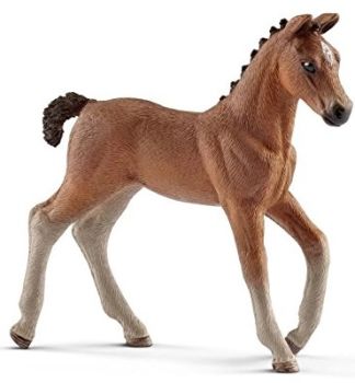 SHL13818 - Poulain Hanovre