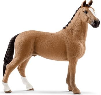 SHL13837 - Hongre Hanovre