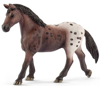 SHL13861 - Jument Appaloosa