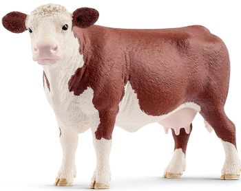 SHL13867 - Vache Hereford