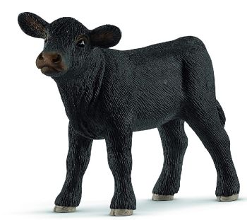 SHL13880 - Veau Angus