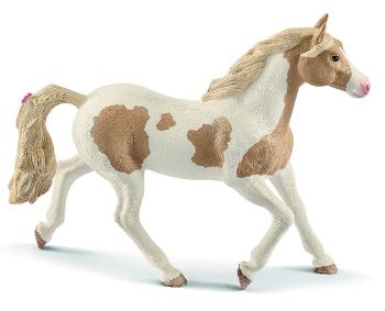 SHL13884 - Jument paint Horse