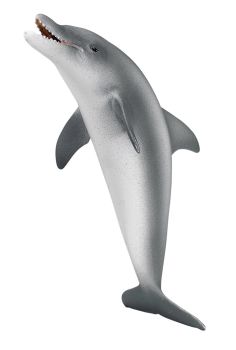SHL16088 - Dauphin