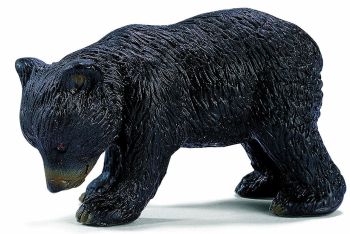 SHL14326 - Bébé Ours Noir