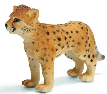 SHL14327 - Bébé Guépard