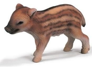 SHL14336 - Marcassin,Debout