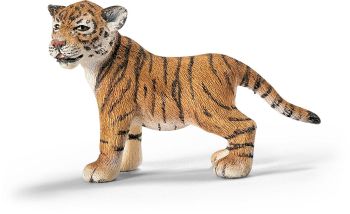 SHL14371 - Bébé Tigre Du Bengale