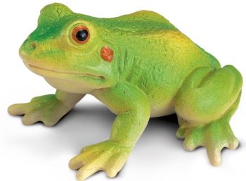 SHL14407 - Grenouille