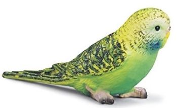 SHL14408 - Perruche Verte