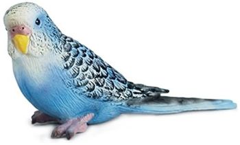 SHL14409 - Perruche bleue