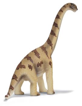SHL14503 - Brachiosaure