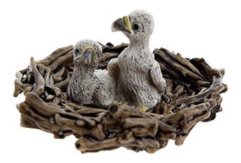 SHL14635 - Aiglons dans leur Nid