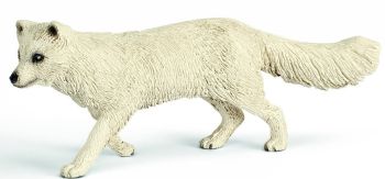 SHL14638 - Renard Polaire