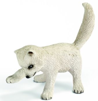 SHL14639 - Renardeau Polaire