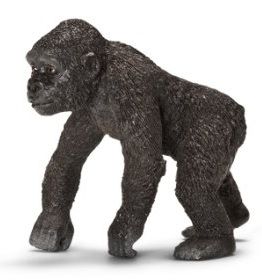 SHL14663 - Jeune Gorille