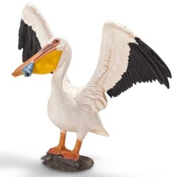 SHL14673 - Pélican