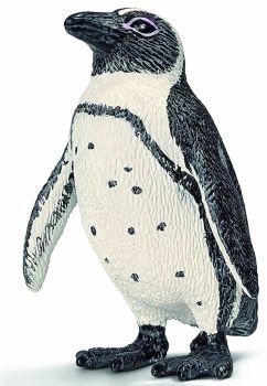 SHL14705 - Manchot du Cap