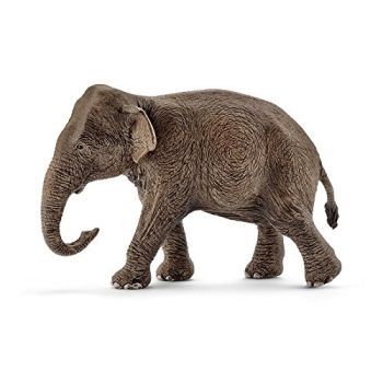 SHL14753 - Eléphant d'Asie - Femelle