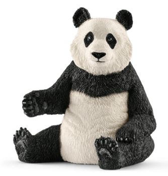 SHL14773 - Panda Géant , Femelle