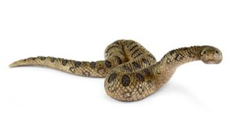 SHL14778 - Anaconda géant