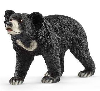 SHL14779 - Ours lippu