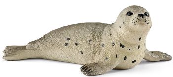 SHL14802 - Jeune Phoque