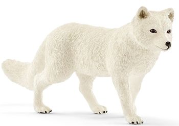 SHL14805 - Renard Polaire