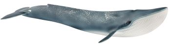 SHL14806 - Baleine Bleue