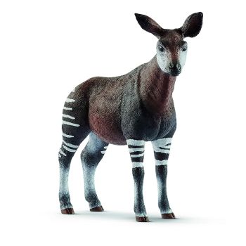 SHL14830 - Okapi