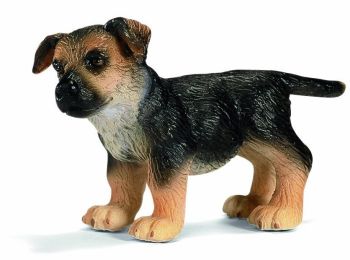 SHL16343 - Chiot Berger Allemand