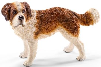 SHL16833 - Saint Bernard