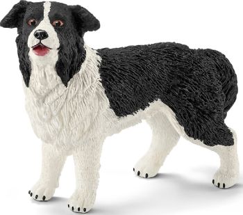 SHL16840 - Border collie