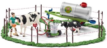 SHL41428 - Famille de bovins dans un pré