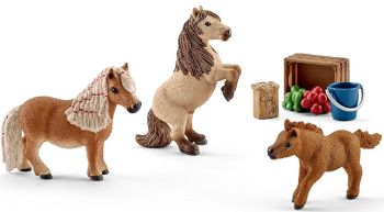 SHL41432 - Famille de Minishetlands