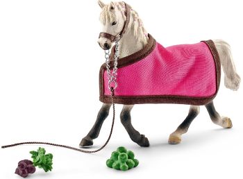 SHL41447 - Jument arabe avec couverture