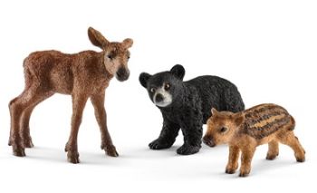 SHL41457 - Bébés animaux de la forêt