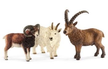 SHL41459 - Animaux de la montagne