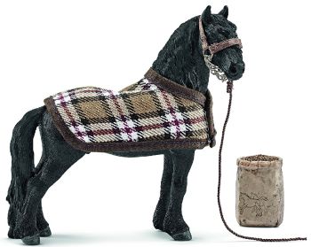 SHL42269 - Kit de soin pour chevaux frisons