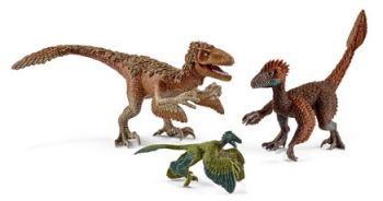 SHL42347 - Raptors à Plumes