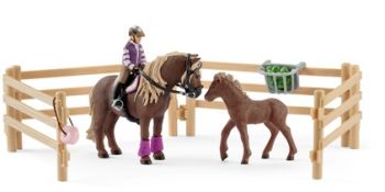 SHL42363 - Cavalière avec poneys Islandais