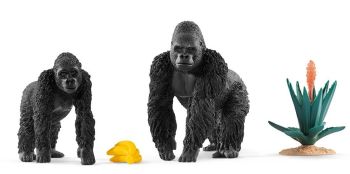 SHL42382 - Gorilles En Quête de Nourriture