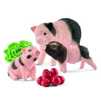 SHL42422 - Cochon Nain Femelle et Cochonnets